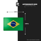 Brazil Flag