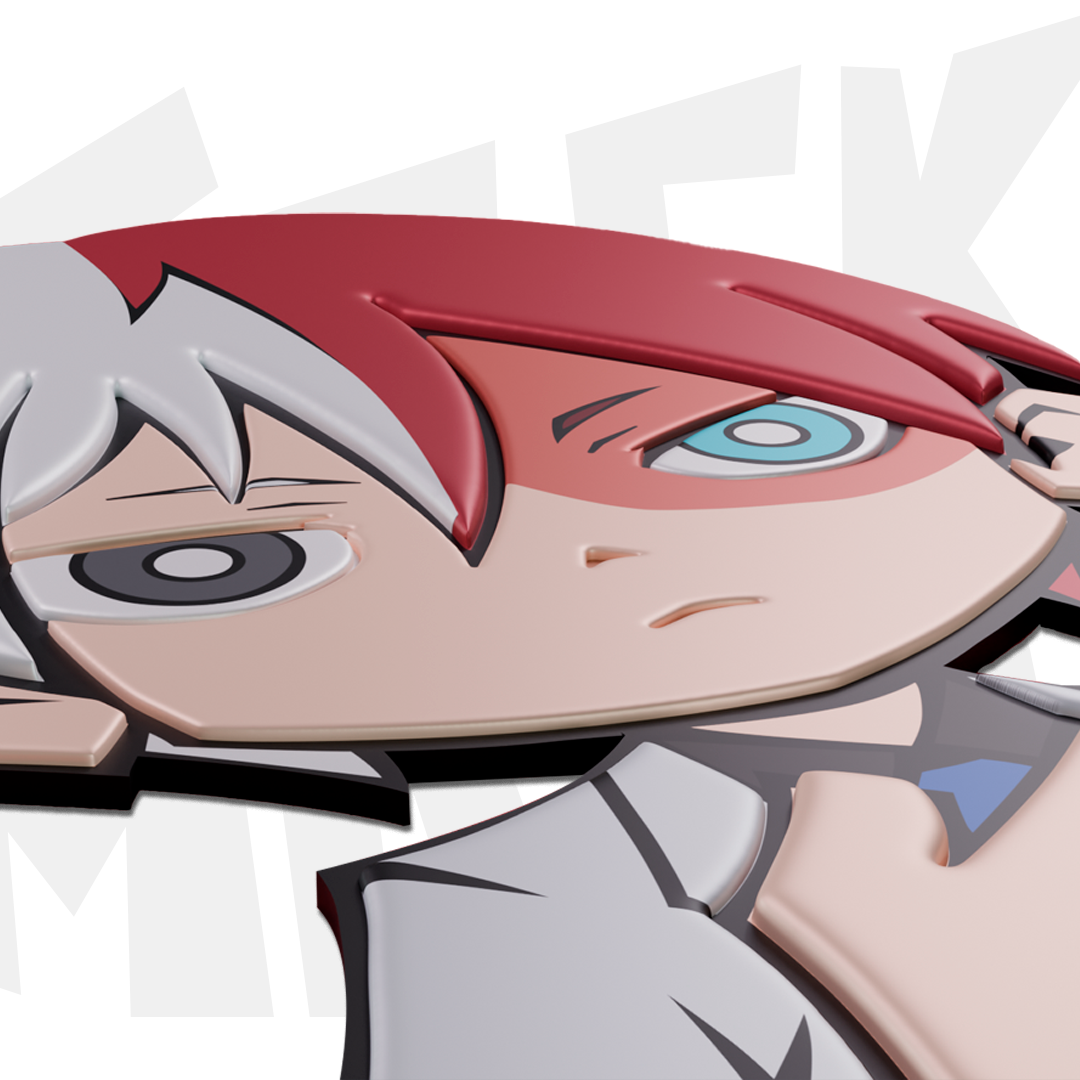 SHOTO TODOROKI